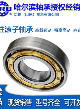 哈尔滨双列向心短圆柱滚子轴承 NN3006 3007K/P5W33精密机床轴承