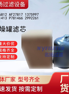 1906812 AF27817 1375997 P951413 P781466 2992261 干燥罐滤芯