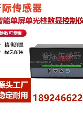 DY21TL/GT10P智能位式控制数字光柱液晶显示仪表