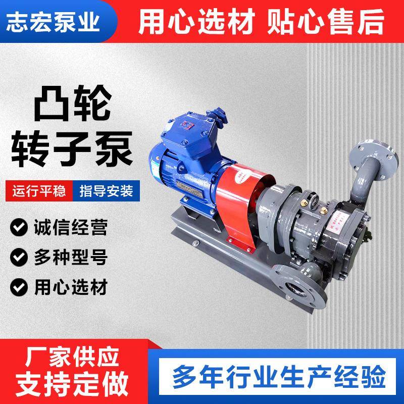 污泥泵扫舱泵高粘度转子泵凸轮转子泵磁混凝污泥转子泵
