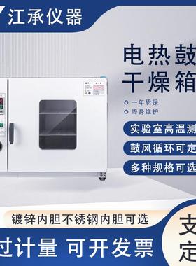 电热恒温鼓风干燥箱300度烘箱实验室测试烤箱鼓风干燥箱高温烤箱