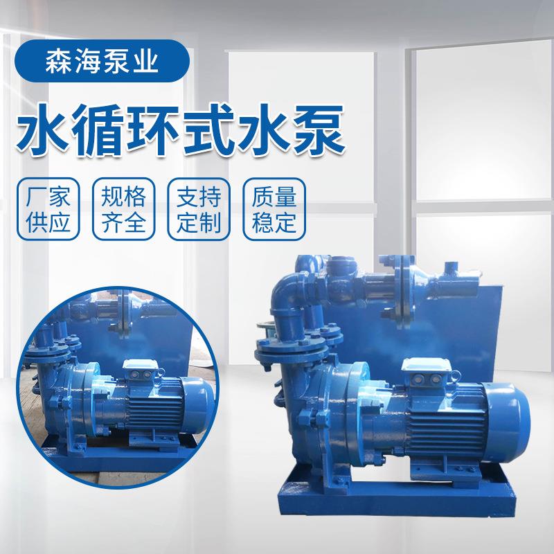 供应真空泵厂家直供水循环式水泵真空泵雕刻机2BV水循环式水泵