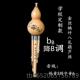 业演奏型七孔8孔c调降b小DGF 人学生专 正品 孔八葫芦丝乐器初学成