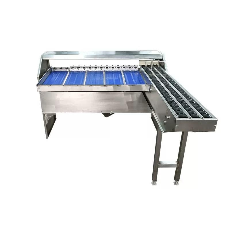 蔬菜水果分级设备重量大小挑选橙子自动高效分选番茄柠檬智能分选