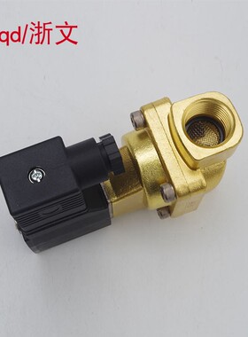 疏水阀2W200-20 2W250-25 A/B DC24V AC220V电磁阀常闭二通铜体