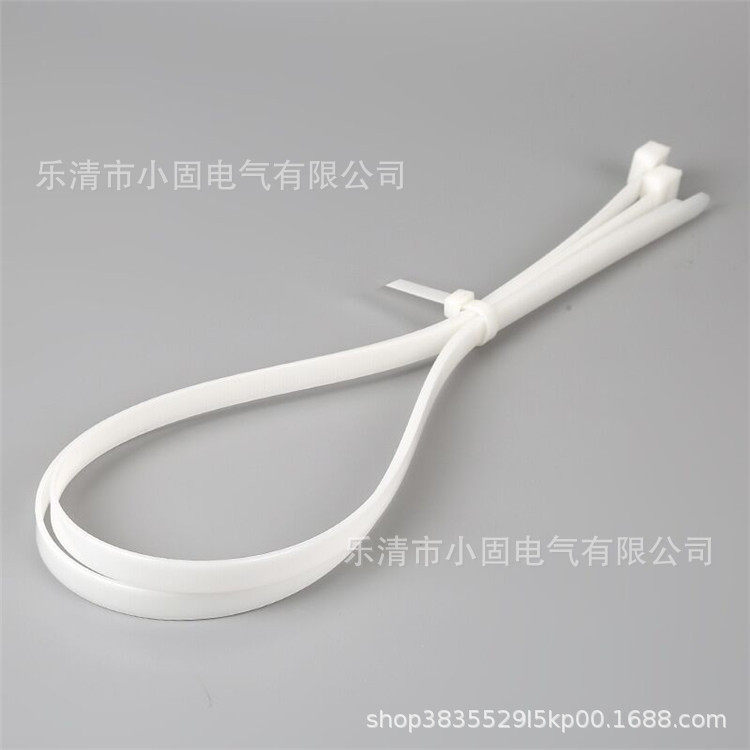 自锁式尼龙扎带12*600mm 一拉得扎带 黑白色电线扎绳,模玩/动漫/周边/娃圈三坑/桌游,文化/体育周边,淘宝优惠券,粉丝福利购,淘宝优惠卷