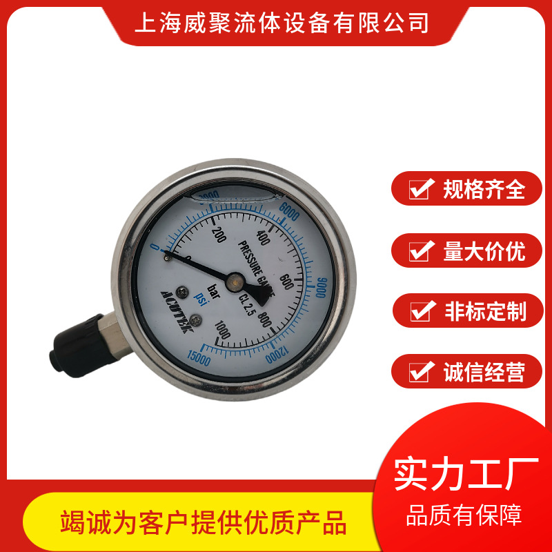 不锈钢高压防震压力表100MPA。径向外螺纹1000BAR公斤 轴向法兰边