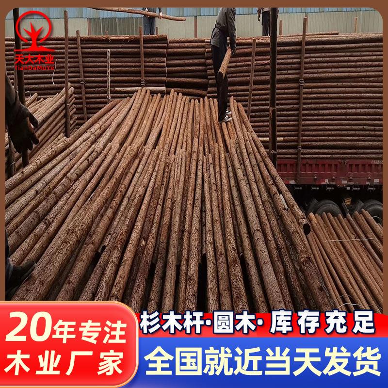 原木杉木杆园林绿化支撑杆户外河道驳岸松木实木桩落叶松圆木