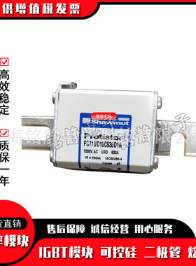 【月销500】全新现货PC73UD13C700TF  R300510?熔断器