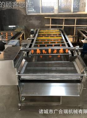 自动果蔬气泡清洗机 商用酸菜AFQ菜泡脱盐洗机清 蔬菜净菜加全工