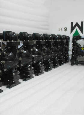 上海旺泉RW73366 RW25ASEE高压气动隔膜泵、气动双隔膜泵、气动泵