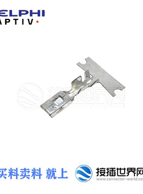 54001400/10762803 APTIV/安波福 汽车连接器 接插件 现货