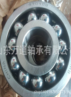 970108 6008 970 耐高温轴承 陶瓷机械 窑炉 高温设备轴承轴承