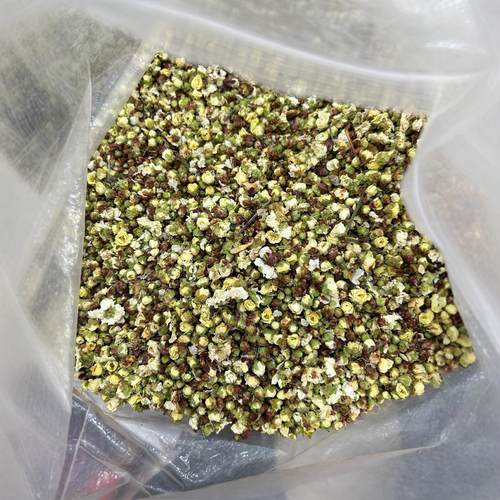 白梅花绿萼梅新品绿梅花玫瑰花黄山红梅花春梅千枝梅红梅花真货好