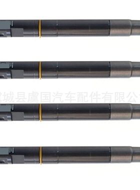 EMBR00203D 共轨喷油器 33800-2A780 A6710170121