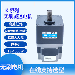 25W 24V 220V 48V 1000W直流高低压有感无刷减速马达变速电机 36V