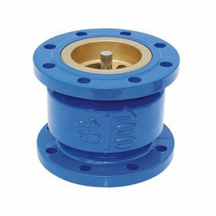 止回阀不锈钢止回阀DN100 16消声止回阀法兰止回阀 4寸 HC41X