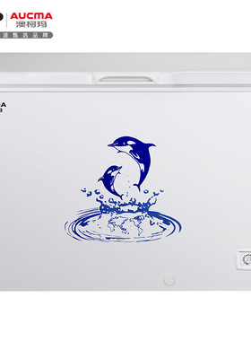 澳柯玛大容量冰柜单温单箱顶开门冷柜BC/BD-307 306NE