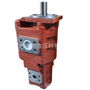 徐工装 1016齿轮泵 载机齿轮泵 Gj3100 ZL50F挖机工作泵