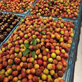 荔枝急冻盘超市海生鲜水产盘水果店杨梅龙眼陈列架展示托 托盘促