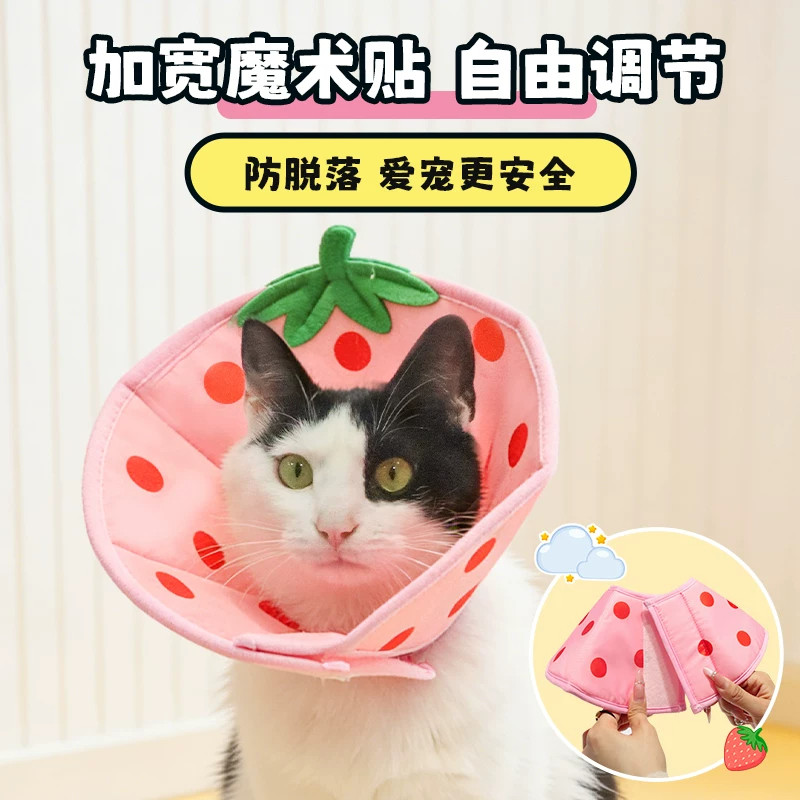 伊丽莎白宠物圈加深大型犬狗狗