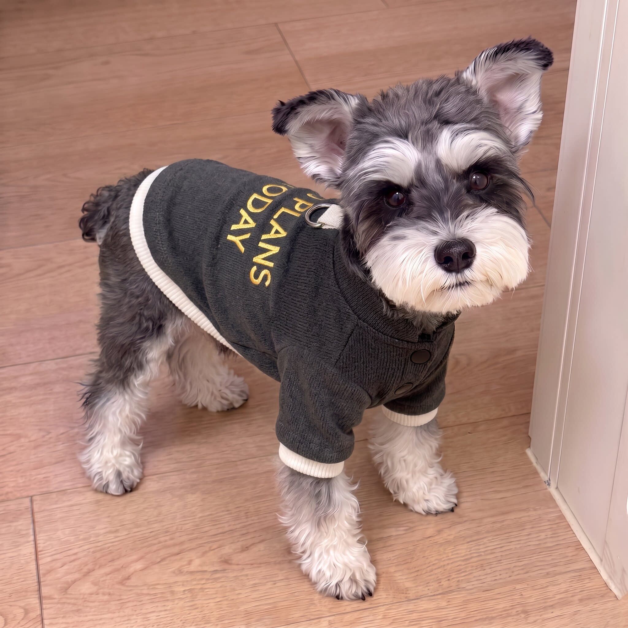 狗狗衣服小型犬雪纳瑞约克夏猫咪秋冬保暖背心宠物马甲2026新款