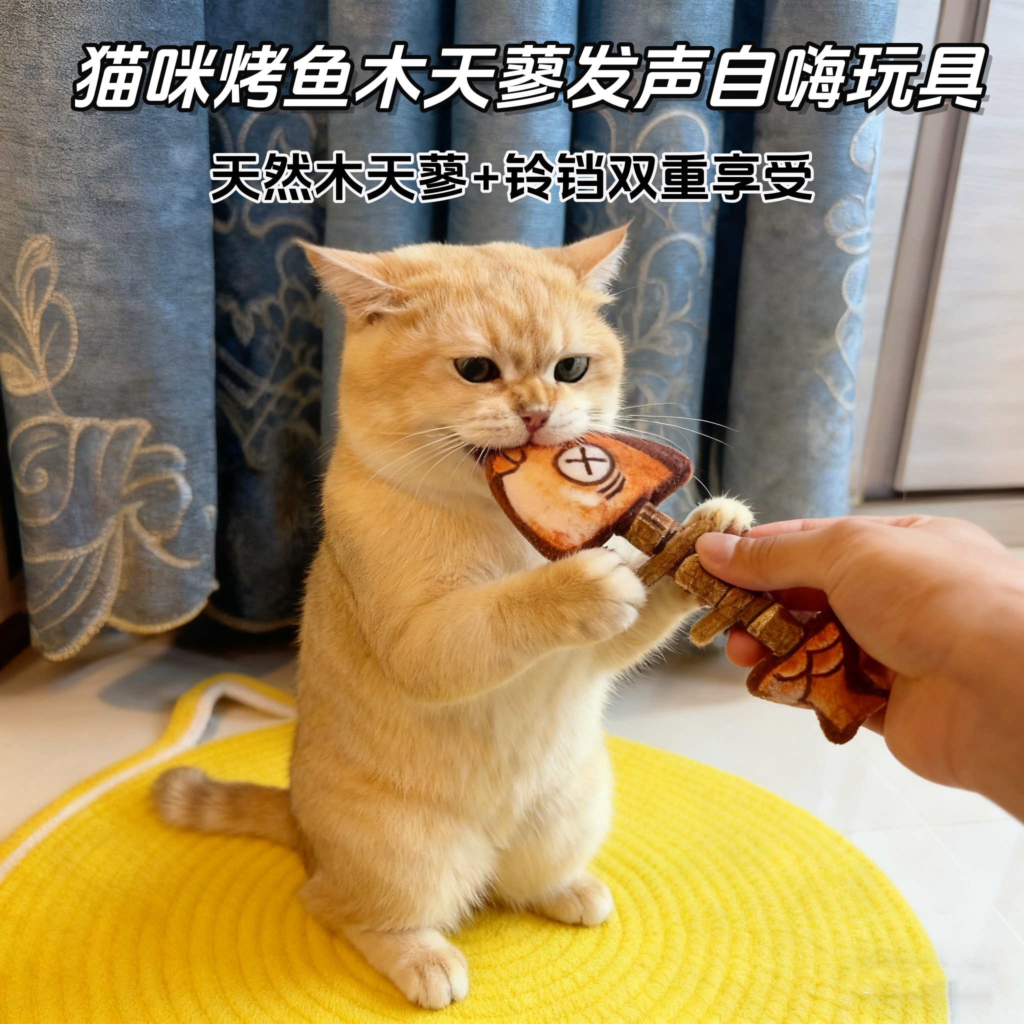 木天蓼搭配铃铛猫咪自嗨解闷