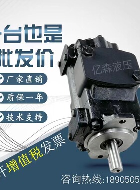 丹尼逊定量高压叶片泵T6D-014/017/020/024/028/031-1R01/2/3-B1