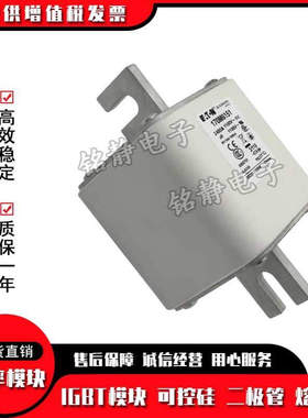 170M6738 170M6739巴斯曼熔断器现货170M6740 170M6741 170M6742