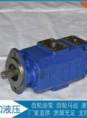 P124B085DUZA10-54   P124B185SNZA15-54PBZA07-1  泊姆克齿轮泵