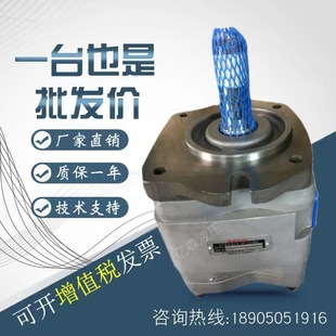 100 11IPH 不二越NACHI液压齿轮泵IPH