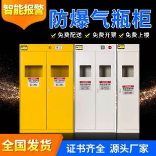 实验室防爆气瓶安全柜智能报警储存柜甲烷乙炔双瓶煤气液化气罐柜