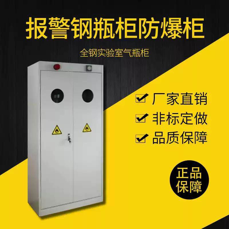 实验室全钢气瓶柜防爆柜危化品储存柜钢瓶柜气体储存柜安全柜双瓶