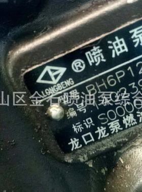 上柴配套喷油泵总成 S00000460+01 / BH6P120龙泵油泵 BP5161A