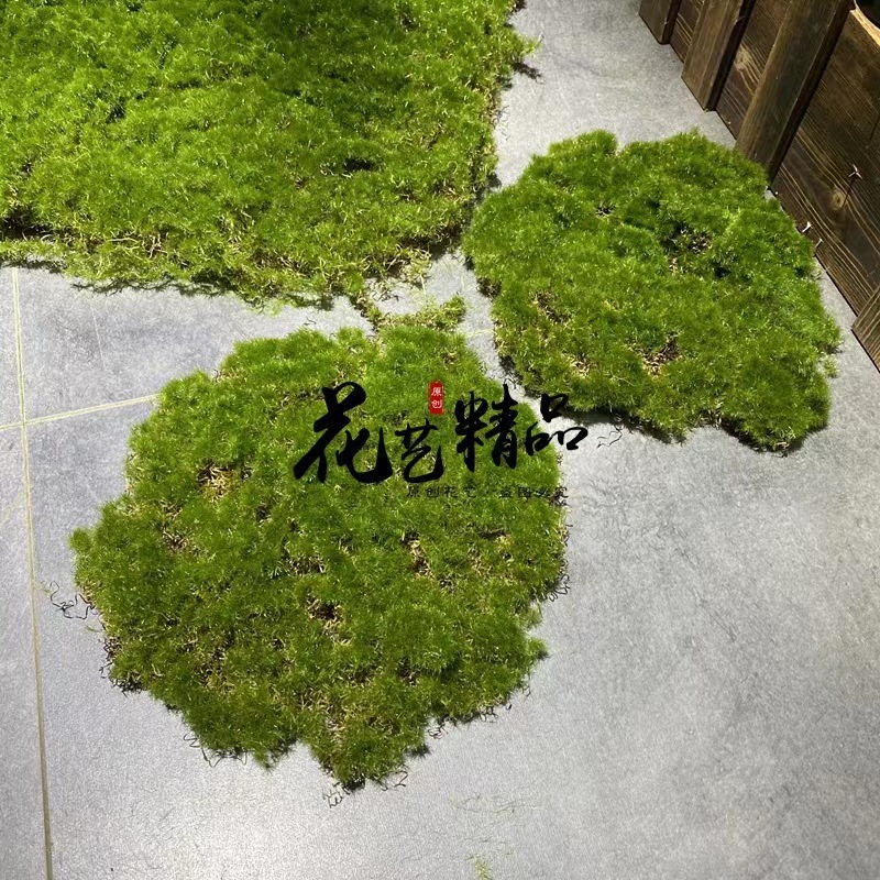 直销苔藓皮苔藓块青苔摆件 软装造景草皮草坪毛石头 仿真绿植