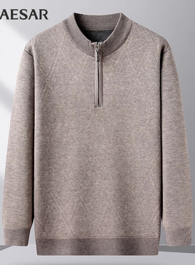 凯撒大帝2025秋季男士加厚毛衣中老年爸爸装拉链半高领针织衫J