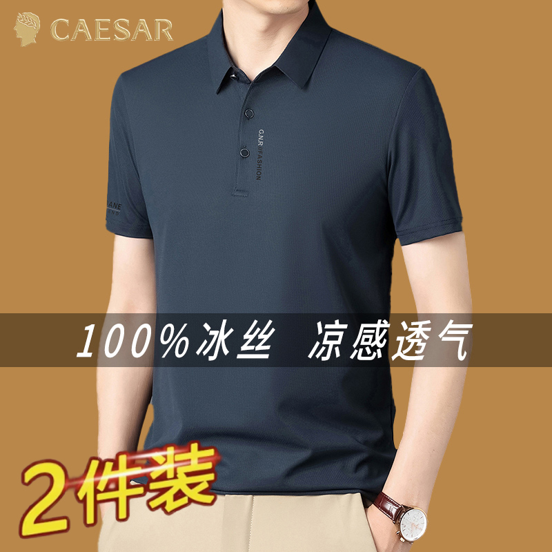 凯撒大帝2025夏季新款翻领短袖t恤中年爸爸装冰丝薄款polo衫男J