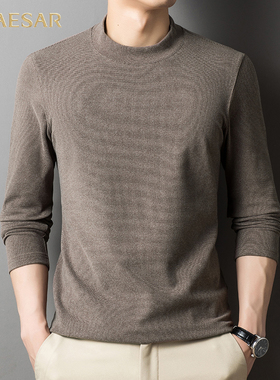 凯撒大帝2025年男士纯色休闲时尚百搭圆领长袖中老年卡舒适卫衣J