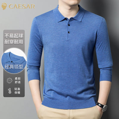 凯撒大帝2025年秋季男纯色翻领时尚休闲百搭中年男士上衣针织衫J