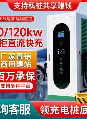 新能源汽车充电桩站9孔直流双枪40/60/120kw380V电动车快充