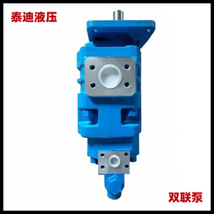 徐工装 P7260 803013093双联泵 10齿轮泵 载机1151412009 100
