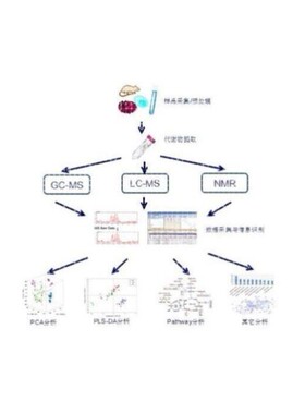 LCMS检测 液相色谱质谱分析检测 代谢组学 脂质组学 蛋白组学