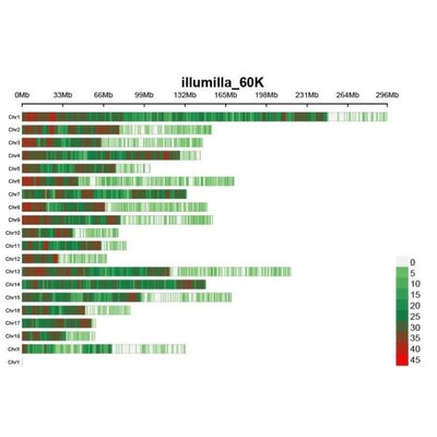 生信分析 DNA 甲基化测序 R 语言孟德尔随机化转录