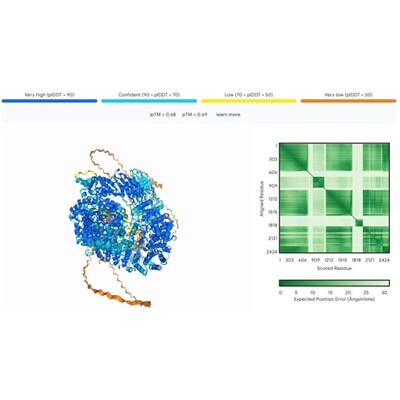 alphafold3蛋白质DNA配体金属离子修饰单体复合物互作结构预测