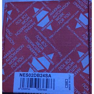 全新CarensNES02DB24SA Carlo Gavazzi NSC02DB24SA安全继电器议