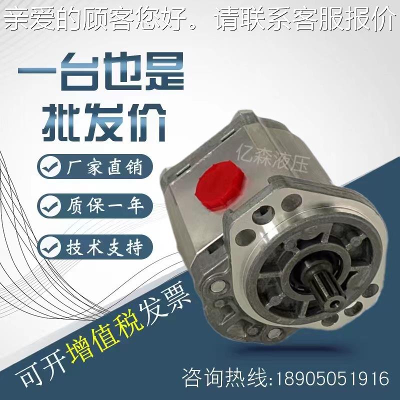 康斯克SWD齿轮泵WK09A1B06000/080/110/14/10/1960/230R3BA150N