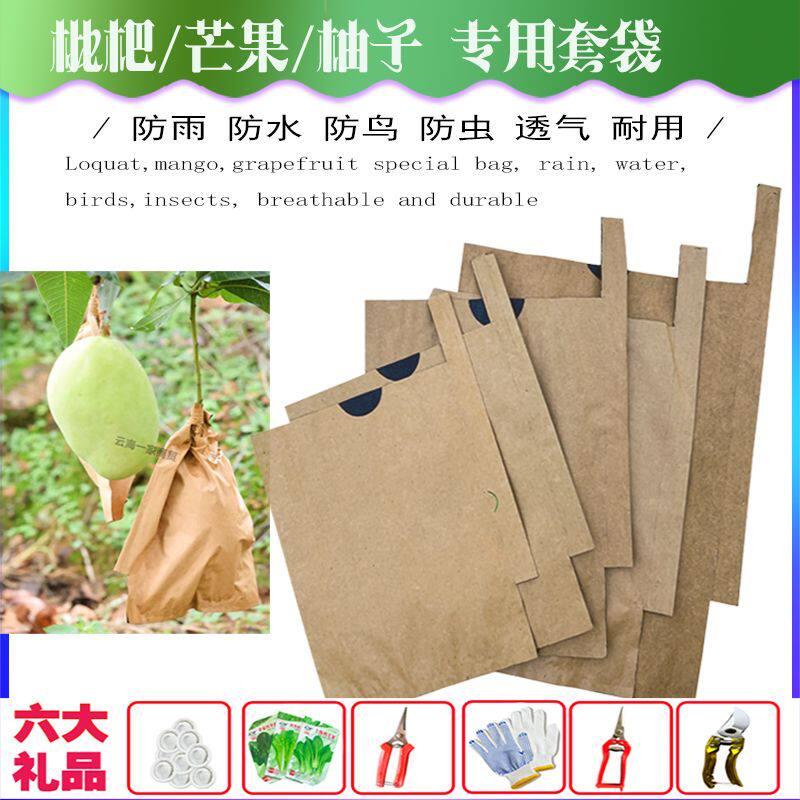 芒果套袋大金煌青芒防雨防水防虫鸟晒纸袋梨葡萄枇杷柚子专用套袋