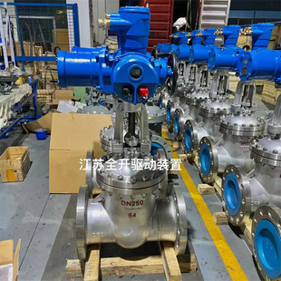 DN250不锈钢矿用隔爆型电动闸阀 100P 带远程控制 MZ941W