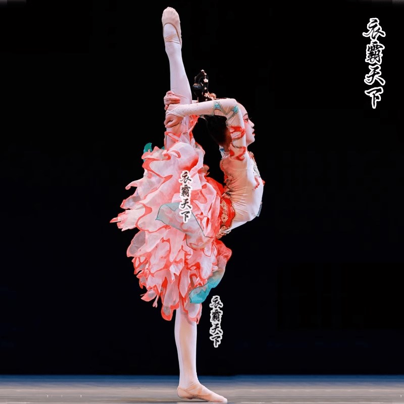 新款敦煌舞蹈服大l漠飞天演出服异域风古典舞中国风民族服反弹琵