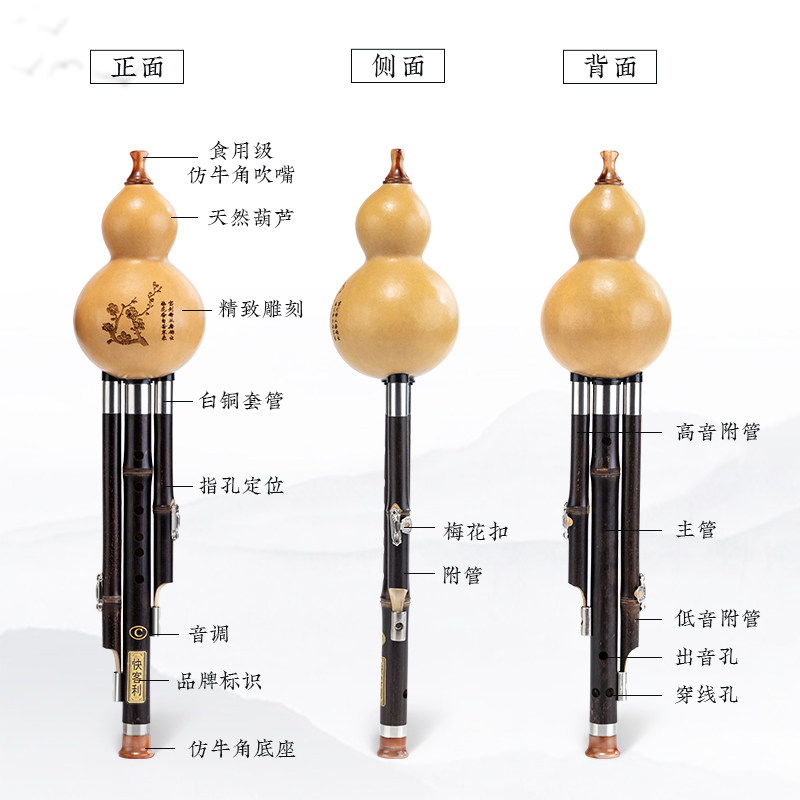 高端葫芦丝初学者m专业入门七孔葫芦丝C调小学生专用成人降B调